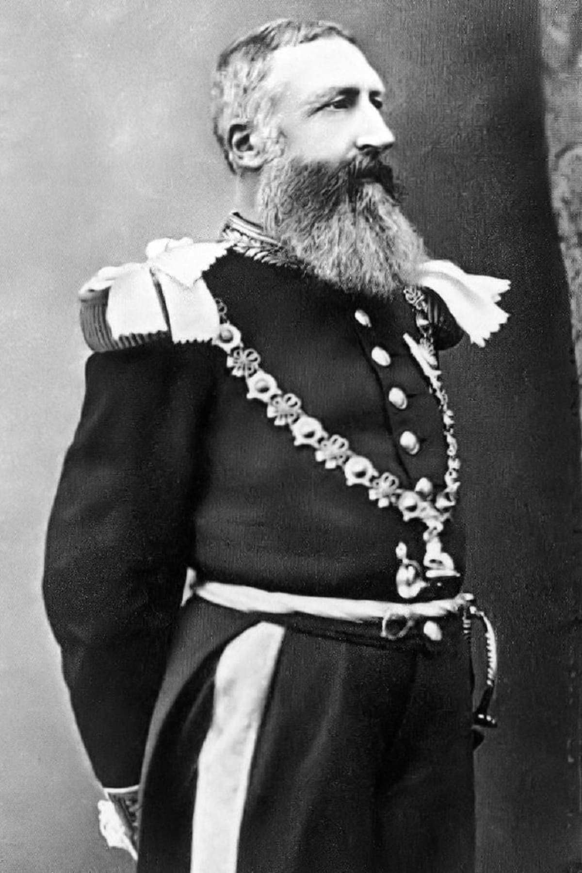 Leopoldo II, Rei dos Belgas