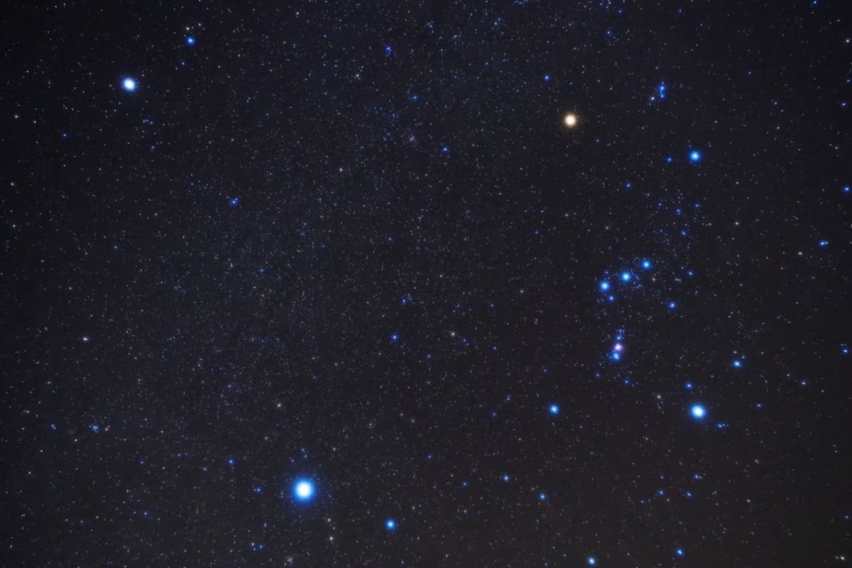 Constelação de Orionte, Sirius e Procyon