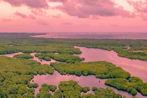 Quais são os 10 maiores rios do mundo?