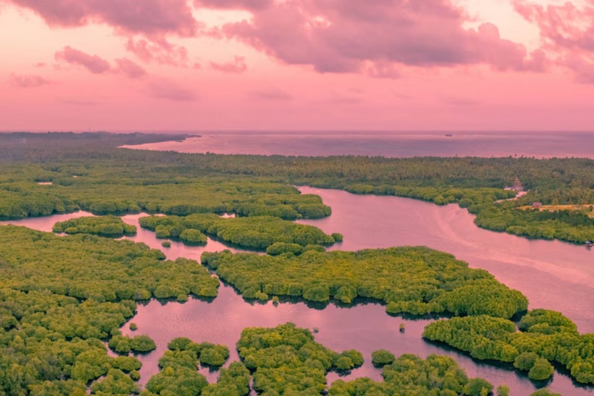 Quais são os 10 maiores rios do mundo?