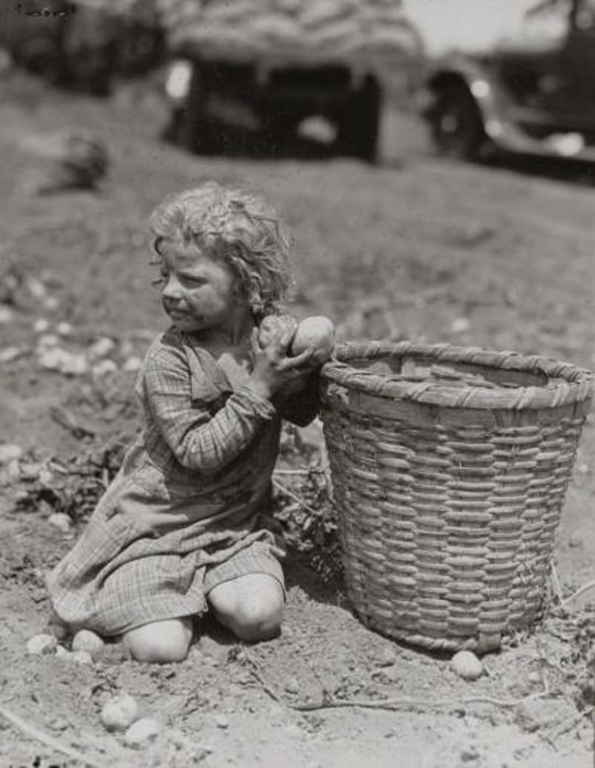 Lewis Hine-Child a colher batatas em Long Island, 1912.