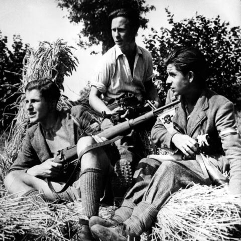 Maquisardos bretões - armas