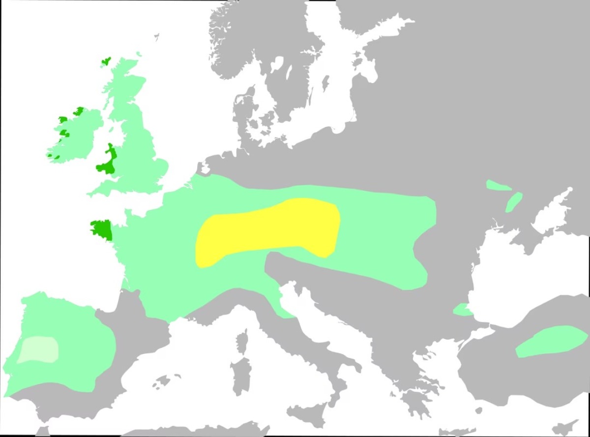 mapa-celta-gay