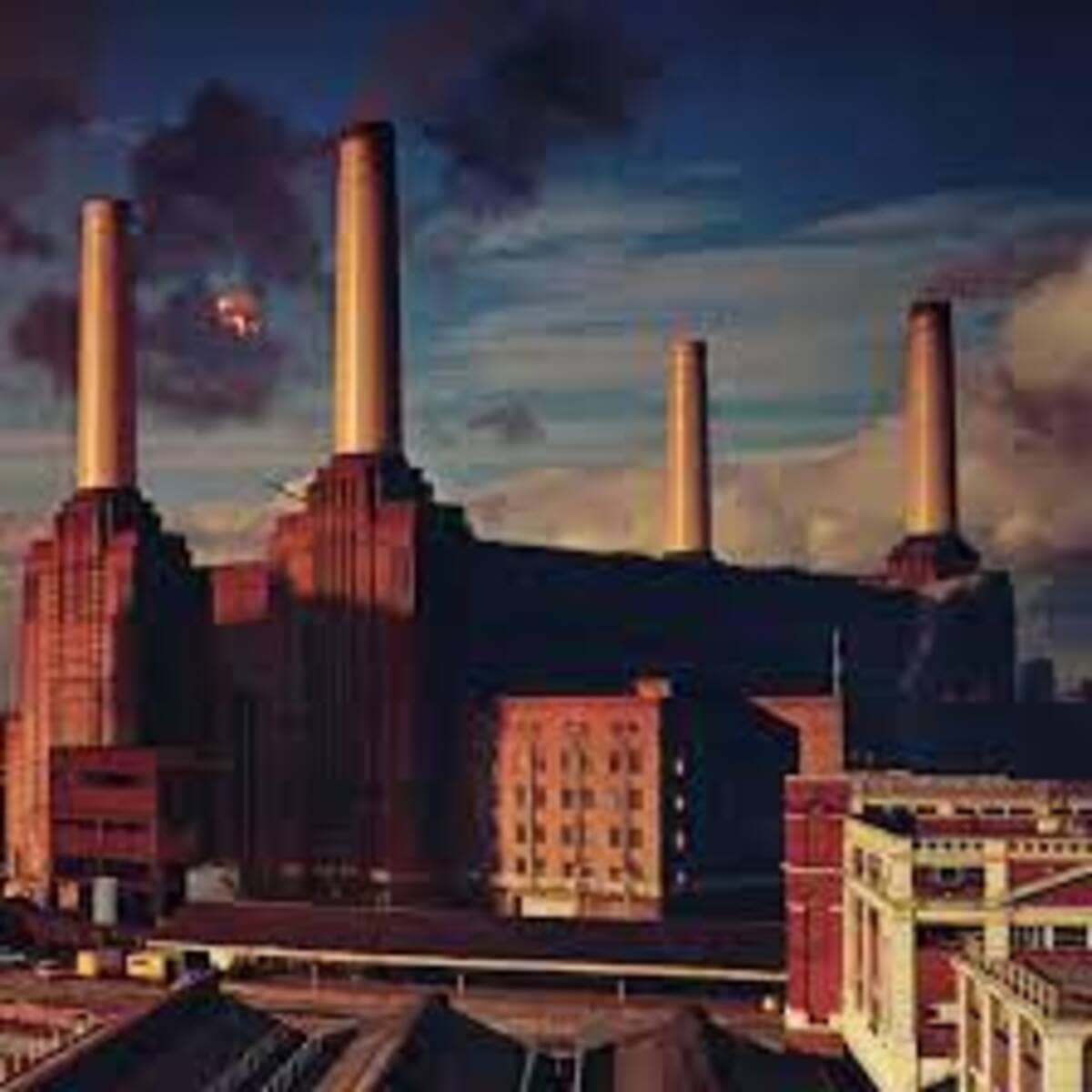 Disco Animals - Pink Floyd 12